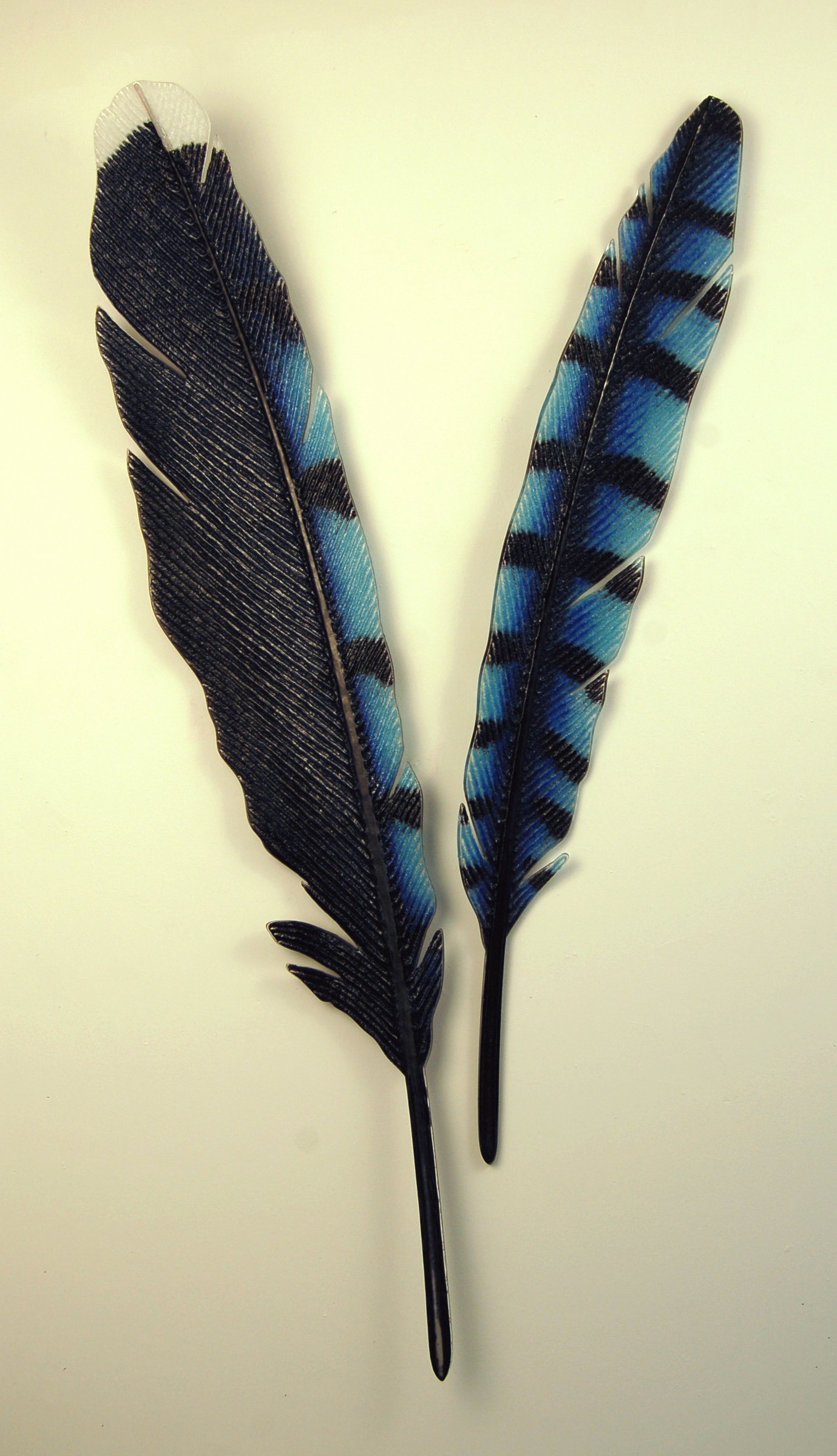 Bluejay Feather Set